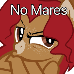 Size: 768x768 | Tagged: safe, artist:lordlyric, oc, oc only, oc:maplelasso, earth pony, pony, country, female, mare, megamind, meme, no bitches?, simple background, solo, transparent background