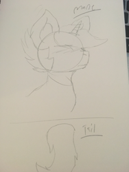Size: 575x765 | Tagged: safe, oc, oc only, oc:wolf blake, unicorn, fanart, horn, mane, sketch, sketchbook, solo, tail, traditional art, unfinished art