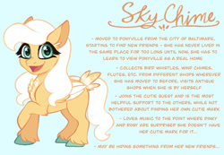 Size: 1280x887 | Tagged: safe, artist:carouselunique, pegasus, pony, g4, alternate cutie mark, alternate design, alternate hairstyle, alternate universe, character swap, colored hooves, female, fetlock tuft, filly, foal, horn, reference sheet, side stars au, simple background, sky chime, smiling, solo, text, unshorn fetlocks