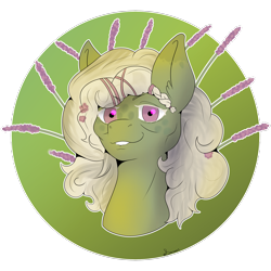 Size: 3000x3000 | Tagged: safe, artist:darmetyt, oc, oc:nancy, earth pony, solo