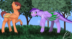 Size: 1280x694 | Tagged: safe, artist:marsh-mal-oh, oc, oc only, oc:jasper, unnamed oc, dracony, hybrid, pegasus, pony, dragon wings, duo, duo female, female, floppy ears, folded wings, grass, interspecies offspring, lesbian, mare, offspring, offspring shipping, parent:big macintosh, parent:fluttershy, parent:rarity, parent:spike, parents:fluttermac, parents:sparity, pegasus oc, shy, tree, wings