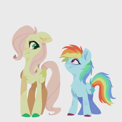 Size: 1080x1080 | Tagged: safe, artist:rr29578979, fluttershy, rainbow dash, pegasus, pony, g4, :t, blue coat, blue eyes, chest fluff, colored eyebrows, colored hooves, colored pinnae, colored wings, colored wingtips, cute, dashabetes, eyelashes, female, filly, filly fluttershy, filly rainbow dash, fluttershy is tall, folded wings, gray background, hair over one eye, lineless, long tail, looking at each other, looking at someone, multicolored hair, multicolored mane, multicolored tail, pink eyes, pink mane, pink tail, rainbow dash is short, rainbow hair, rainbow tail, shyabetes, simple background, size difference, standing, tail, tallershy, two toned wings, wingding eyes, wings, yellow coat, younger