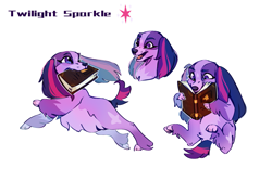 Size: 3045x2196 | Tagged: safe, artist:rr29578979, twilight sparkle, dog, book, dogified, mouth hold, species swap, twilight barkle