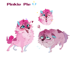 Size: 2656x2071 | Tagged: safe, artist:rr29578979, pinkie pie, dog, pomeranian, g4, dogified, female, fluffy, open mouth, open smile, pinkamena diane pie, puppy pie, simple background, smiling, species swap, white background