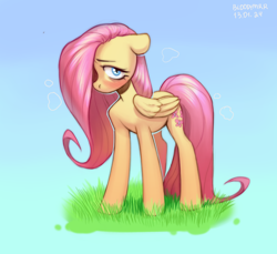 Size: 3000x2744 | Tagged: source needed, safe, artist:bloodymrr, fluttershy, pegasus, pony, g4, blue background, blue eyes, blushing, embarrassed, gradient background, grass, hair over one eye, looking at you, one eye covered, shy, solo, standing