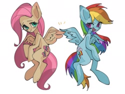 Size: 2048x1536 | Tagged: safe, artist:m09160, fluttershy, rainbow dash, duo, duo female, female, simple background, white background