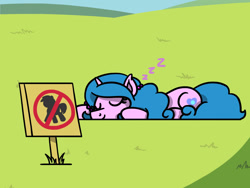Size: 1800x1350 | Tagged: safe, artist:flutterluv, izzy moonbow, pony, unicorn, g5, cute, eyes closed, first world anarchist, fuck the police, grass, horn, izzybetes, lying down, onomatopoeia, ponified animal photo, prone, pure unfiltered evil, sign, sleeping, smiling, solo, sound effects, zzz