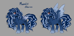 Size: 1280x628 | Tagged: safe, artist:paltis, oc, oc:moonlit shores, pegasus, pony, pegasus oc, solo