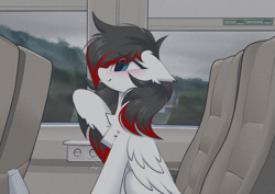 Size: 1019x721 | Tagged: safe, artist:rieyadraws, oc, oc only, oc:jet blast, pegasus, pony, blue eyes, blushing, chest fluff, cloud, cloudy, cute, detailed background, ear fluff, eye clipping through hair, floppy ears, happy, hill, indonesia, indonesian, indoors, multicolored hair, ocbetes, outlet, photo, raised hoof, seat, sitting, smiling, solo, train, white coat, window, wings