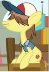 Size: 224x327 | Tagged: safe, screencap, sprocket pop, pony, g4, growing up is hard to do, hat, male, stallion