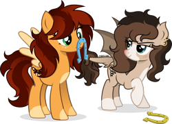 Size: 3000x2170 | Tagged: safe, artist:cirillaq, oc, oc only, oc:golden, oc:ryolit, bat pony, pegasus, pony, balancing, duo, female, horseshoes, mare, ponies balancing stuff on their nose, simple background, transparent background