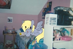 Size: 2048x1376 | Tagged: safe, artist:poniesinmyhead, derpy hooves, pegasus, pony, g4, awesome, awesome face, bed, bedroom, computer, eye clipping through hair, female, indoors, irl, laptop computer, lying down, lying on bed, mare, on bed, photo, plushie, ponies in real life, prone, real life background, room, solo, sticker, teddy bear