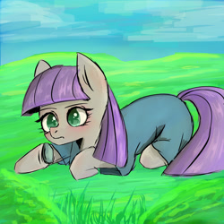 Size: 4096x4096 | Tagged: safe, artist:funnytrickytrixie, boulder (g4), maud pie, earth pony, pony, g4, cute, lying down, maudabetes, prone, rock, solo