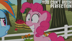 Size: 2000x1125 | Tagged: safe, edit, edited screencap, editor:quoterific, screencap, pinkie pie, rainbow dash, earth pony, pegasus, pony, g4, season 2, the super speedy cider squeezy 6000, apple, apple tree, barrel, female, fence, mare, tree