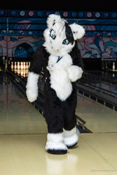 Size: 1024x1535 | Tagged: safe, oc, oc only, oc:wolfsong dreamer, bowling, fursuit, irl, photo, ponysuit, solo