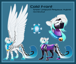 Size: 7500x6300 | Tagged: safe, artist:parrpitched, oc, oc:cold front, big cat, hybrid, leopard, pony, snow leopard, character design, clothes, concave belly, fit, large wings, latex, latex suit, pegakat, reference sheet, scarf, slender, thin, wings
