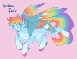Size: 1636x1260 | Tagged: safe, artist:pretzelprince, rainbow dash, pegasus, pony, g4, alternate color palette, alternate design, alternate hairstyle, alternate tailstyle, blue coat, blue text, cheek fluff, chest fluff, coat markings, colored hooves, colored pinnae, colored wings, concave belly, ear fluff, eye clipping through hair, eyebrows, eyebrows visible through hair, facial markings, fangs, female, fetlock tuft, flying, leg fluff, long tail, looking back, mare, messy mane, messy tail, multicolored hair, multicolored mane, multicolored tail, multicolored wings, narrowed eyes, one eye closed, partially open wings, pink background, pink eyes, rainbow hair, rainbow tail, rainbow wings, raised hoof, redesign, sharp teeth, short mane, simple background, smiling, socks (coat markings), solo, stripe (coat marking), tail, teeth, text, wing fluff, wingding eyes, wings