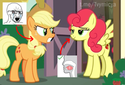 Size: 939x637 | Tagged: safe, edit, edited screencap, editor:rimour, screencap, applejack, strawberry sunrise, earth pony, pegasus, pony, g4, honest apple, angry, calm, duo, duo female, female, irritated, looking at each other, looking at someone, meme, mewing, ponyville, quiet, soyjak, wojak