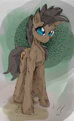Size: 791x1280 | Tagged: safe, artist:ruby, oc, oc only, oc:digger, earth pony, pony, brown coat, colored pupils, looking at you, male, smiling, solo, stallion
