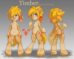 Size: 2560x2048 | Tagged: safe, artist:ruby, oc, oc only, earth pony, pony, semi-anthro, high res, male, reference sheet, shaman, solo, stallion, tribal markings