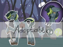 Size: 1600x1200 | Tagged: safe, artist:aakariu, oc, earth pony, adoptable, auction, graveyard, night, reference, solo