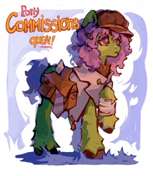 Size: 1608x1852 | Tagged: safe, artist:neexsa, oc, oc only, earth pony, pony, clothes, hairclip, hat, unshorn fetlocks