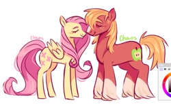 Size: 1283x788 | Tagged: safe, artist:emanonchaos, big macintosh, fluttershy, earth pony, pegasus, pony, g4, blaze (coat marking), coat markings, eyes closed, facial markings, female, male, mare, missing accessory, nuzzling, ship:fluttermac, shipping, signature, simple background, socks (coat markings), stallion, straight, white background