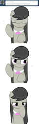 Size: 651x2032 | Tagged: safe, artist:erthilo, octavia melody, earth pony, ask octavia, g4, ask, confused, female, simple background, solo, tumblr, white background