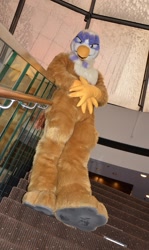 Size: 761x1280 | Tagged: safe, gilda, g4, fursuit, irl, photo, solo