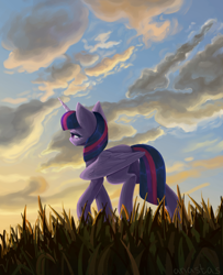 Size: 3000x3700 | Tagged: safe, artist:anastas, twilight sparkle, alicorn, pony, g4, cloud, cloudy, commission, detailed background, female, folded wings, from below, grass, grass field, horn, raised hoof, solo, sunset, twilight sparkle (alicorn), walking, wings, ych example, your character here