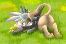 Size: 7889x5351 | Tagged: safe, artist:pzkratzer, gilda, thunderlane, griffon, pegasus, g4, butt, crash, cute, duo, featureless crotch, female, gildalane, gildonk, grass, grass field, looking at each other, looking at someone, lying down, male, paw pads, paws, plot, shipping, straight