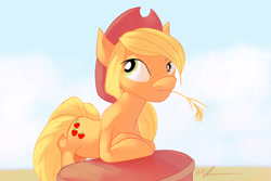 Size: 1280x853 | Tagged: safe, artist:eleganceliberty, applejack, earth pony, g4, hat, solo, straw, straw in mouth