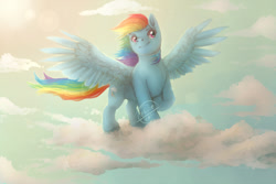 Size: 800x533 | Tagged: safe, artist:zhiibe, rainbow dash, pegasus, pony, g4, cloud, female, mare, sky, solo, watermark