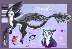 Size: 4865x3321 | Tagged: safe, artist:wallvie, oc, oc:nova iris, griffon, concave belly, countershading, female, reference sheet, slender, solo, thin