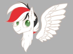 Size: 1039x759 | Tagged: artist needed, source needed, safe, oc, oc only, oc:damiyan, pegasus, green eyes, simple background, solo, white fur, wings