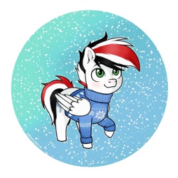 Size: 1000x1000 | Tagged: artist needed, source needed, safe, oc, oc only, oc:damiyan, pegasus, chibi, christmas, clothes, green eyes, holiday, merry christmas, simple background, snow, snowfall, solo, sweater, white fur