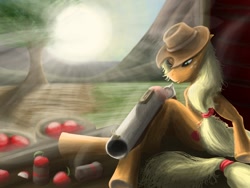 Size: 1600x1200 | Tagged: safe, artist:feralblooddragon, applejack, earth pony, semi-anthro, g4, apple, female, food, gun, hat, mare, solo, sun, weapon