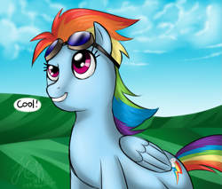 Size: 903x768 | Tagged: safe, artist:cat-cly, rainbow dash, pegasus, g4, goggles, goggles on head, solo