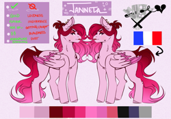 Size: 1071x746 | Tagged: safe, artist:dejji_vuu, oc, oc only, oc:janette, pegasus, pony, chest fluff, colored wings, colored wingtips, ear fluff, ear piercing, earring, eyeshadow, female, folded wings, french flag, gradient mane, gradient tail, implied smoking, jewelry, lipstick, makeup, mare, piercing, ponytail, reference sheet, shoulder fluff, solo, standing, tail, two toned wings, wings