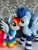 Size: 4284x5712 | Tagged: safe, artist:epicrainbowcrafts, artist:mdcraft10, rainbow dash, soarin', pegasus, pony, g4, clothes, female, irl, male, photo, plushie, rainbow socks, ship:soarindash, shipping, socks, stallion, straight, striped socks