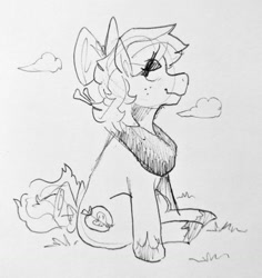 Size: 958x1013 | Tagged: safe, artist:punkittdev, big macintosh, earth pony, pony, g4, bow, curly mane, curly tail, eye clipping through hair, female, freckles, grass, hair bow, hoof shoes, lidded eyes, looking back, mare, pencil drawing, profile, sitting, sketch, smiling, solo, tail, traditional art, trans big macintosh, trans day of visibility, trans female, transgender, yoke