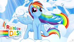 Size: 1920x1080 | Tagged: safe, artist:nrgforce, rainbow dash, pegasus, pony, g4, female, solo, wallpaper