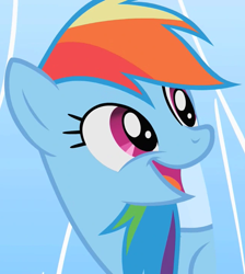 Size: 646x720 | Tagged: safe, screencap, rainbow dash, pegasus, pony, g4, season 1, sonic rainboom (episode), cropped, cute, dashabetes, female, flipped image, happy, mare, smiling, solo