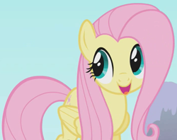 Size: 700x555 | Tagged: safe, screencap, fluttershy, pegasus, pony, g4, season 1, swarm of the century, cute, female, mare, shyabetes, smiling, solo