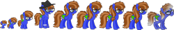 Size: 1900x332 | Tagged: safe, artist:blues-edits, oc, oc only, oc:bluebook, pegasus, pony, age progression, baby, baby pony, base used, bracelet, braces, colored wings, ear piercing, earring, elderly, female, freckles, glasses, hat, jewelry, necklace, older, pegasus oc, piercing, simple background, teenager, transparent background, wings