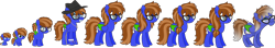 Size: 1900x332 | Tagged: safe, artist:blues-edits, artist:d-amore, artist:frostybases, artist:miesdo, artist:misscupcake333, artist:sakrytix, artist:strawberry-spritz, oc, oc only, oc:bluebook, pegasus, pony, g4, age progression, baby, baby pony, base used, bracelet, braces, colored wings, ear piercing, earring, elderly, female, freckles, glasses, hat, jewelry, necklace, older, pegasus oc, piercing, simple background, teenager, transparent background, wings