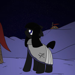 Size: 1020x1020 | Tagged: safe, artist:castafae, oc, oc only, oc:ambrosia, earth pony, pony, cloak, clothes, female, flag, floppy ears, frown, mare, night, snow, solo, standing, stars, tent, wingding eyes