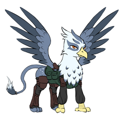 Size: 1226x1134 | Tagged: safe, alternate version, artist:multiverseequine, derpibooru exclusive, oc, oc only, oc:kreggia, griffon, pony, armor, bag, chest fluff, clothes, colored, colored wings, daybreak island, detached sleeves, full body, griffon oc, leggings, leonine tail, male, paws, quadrupedal, simple background, solo, spots, spread wings, tail, transparent background, two toned wings, wings