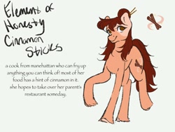 Size: 2160x1620 | Tagged: safe, artist:boring_ad_7453, oc, oc only, oc:cinnamon sticks, earth pony, bun hairstyle, coat markings, cutie mark, earth pony oc, element of honesty, female, mare, messy mane, no pupils, reference sheet, solo, unshorn fetlocks
