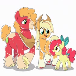 Size: 3000x3000 | Tagged: safe, artist:texacity, apple bloom, applejack, big macintosh, earth pony, pony, g4, alternate design, alternate hairstyle, apple siblings, apple sisters, beard, bow, brother and sister, coat markings, facial hair, female, filly, foal, male, open mouth, siblings, simple background, sisters, socks (coat markings), stallion, tail, tail bow, trio, unshorn fetlocks, white background